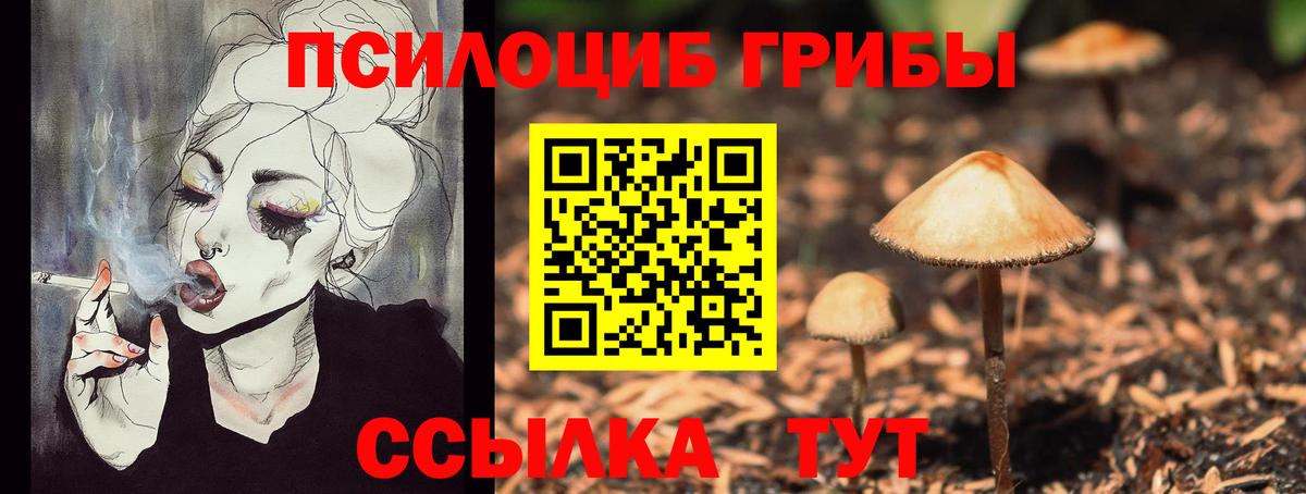 Галлюциногенные грибы MAGIC MUSHROOMS  Вход с VPN  Реж 